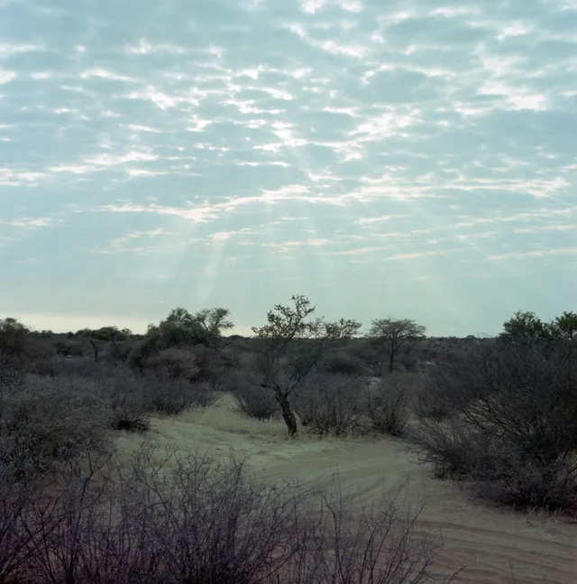 Light through the haze: film photograph by Ben Enbom, USA