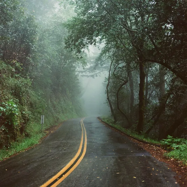 Fog road: film photograph by Ben Enbom, USA
