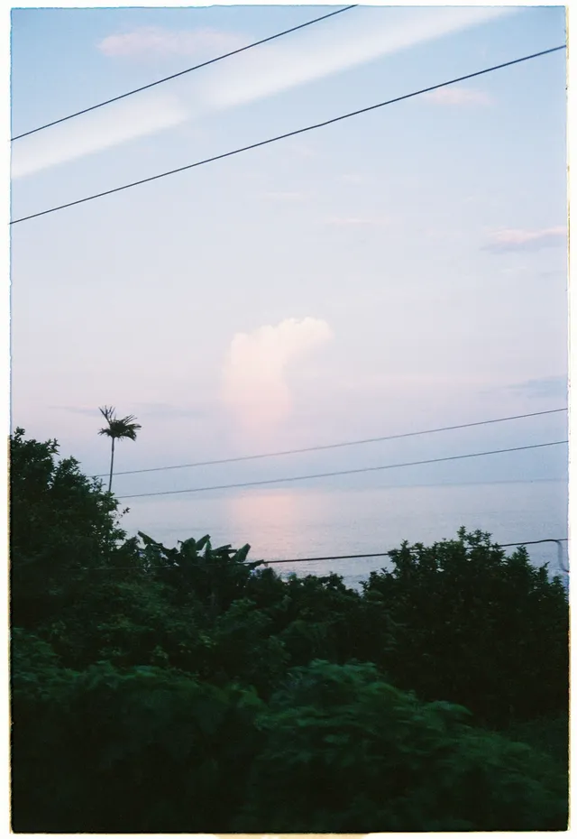 Dusk, palms and wires: film photograph by Ben Enbom, Taiwan