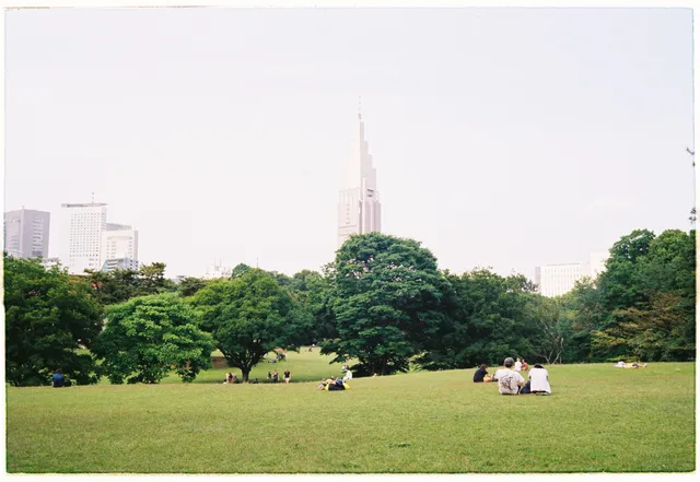 Shinjuku Gyoen: film photograph by Ben Enbom, Japan