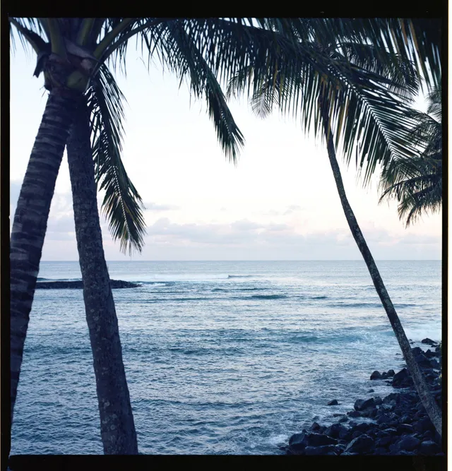 First light, small swell: film photograph by Ben Enbom, USA